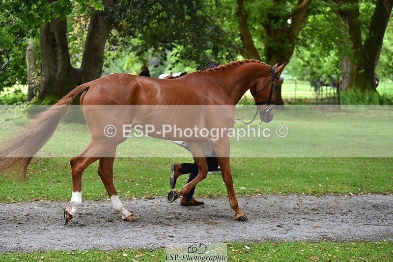 240522-165108-01200 - 223-MORNINGSTAR_VAN_ALTRIDO-Max_Warburton