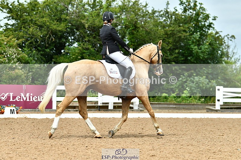 230702A-121855-09594 - Cls 28 Elementary 45