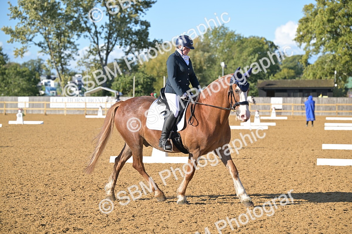 SBM_12991 - D3 - Small Tour Championship Intro 3