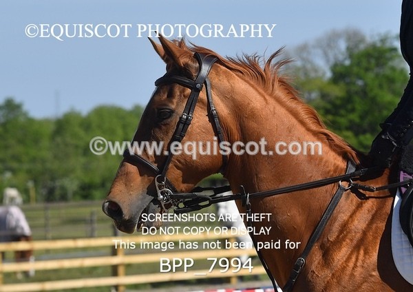 BPP_7994 - CLASS 2 Club/ Unaffiliated 80cms Open