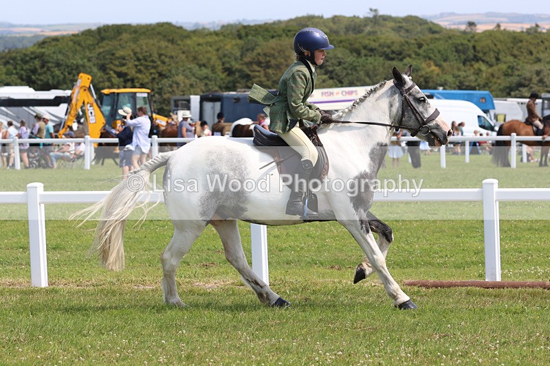 JPP_3243 - Class 22: Working Hunter 70cm