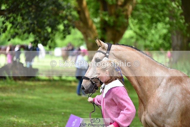 240522-155844-00617 - 109-MJM_BOBBY_DAZZLER-Rosie_Ringer