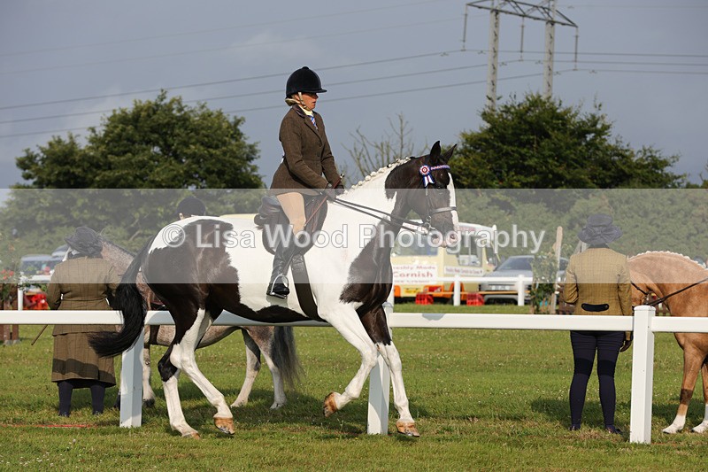 1X9A2863 - Class 25: Ridden Plaited Coloured Horse