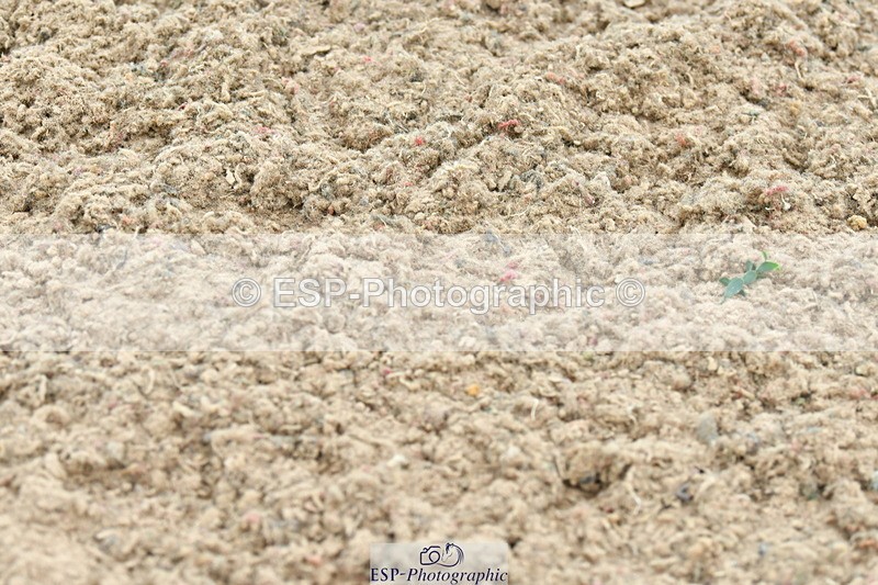 230611A-125047-05766 - Cls 26 Discovery 2nd R Jump Off's and Presentations