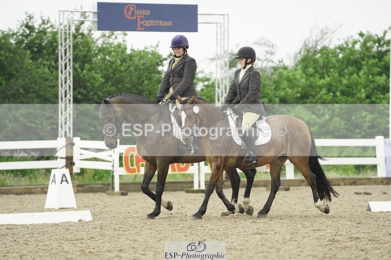 230708A-124232-00483 - BRC Pairs 5