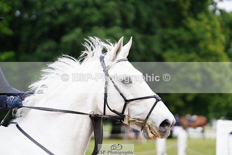 250615A-084222-09690 - Class 42 85cm Amateur Qualifer