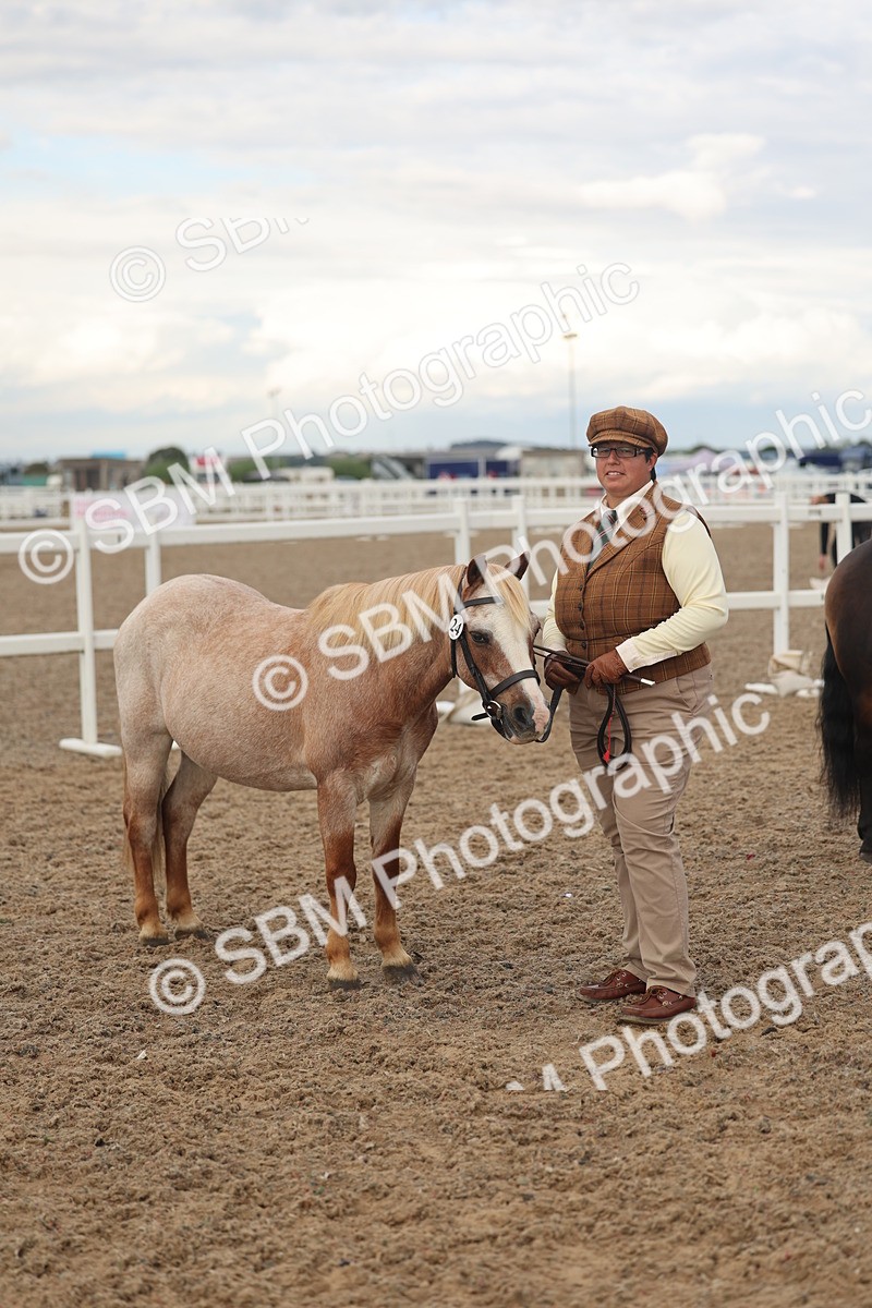 SBM_08531 - Class 29 - IH Veteran Pony