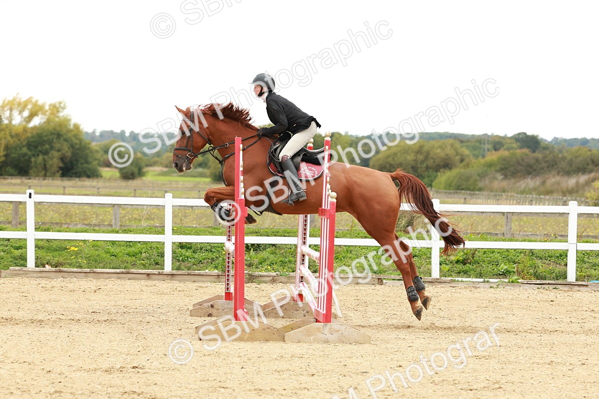 1I0A7126 - Class 2 - Senior British Novice