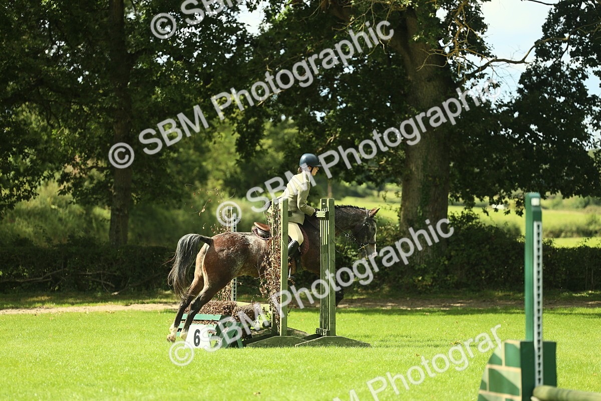 SBM_42137 - S29 - Novice & Newcomers Working Hunter Pony