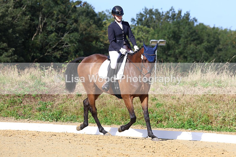 3E7A2537 - Class 1: Intro 4 2024 section A