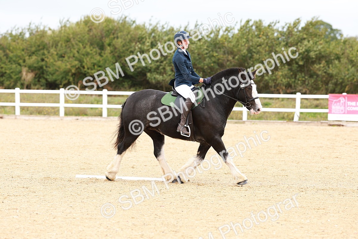 SBM_000913 - Class 3 - Prelim 1