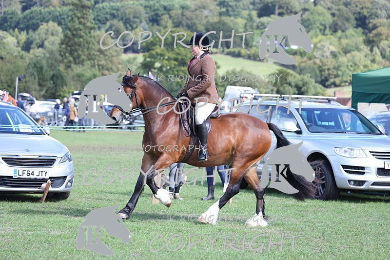 APP_3124 - Class 11 Veterans ridden