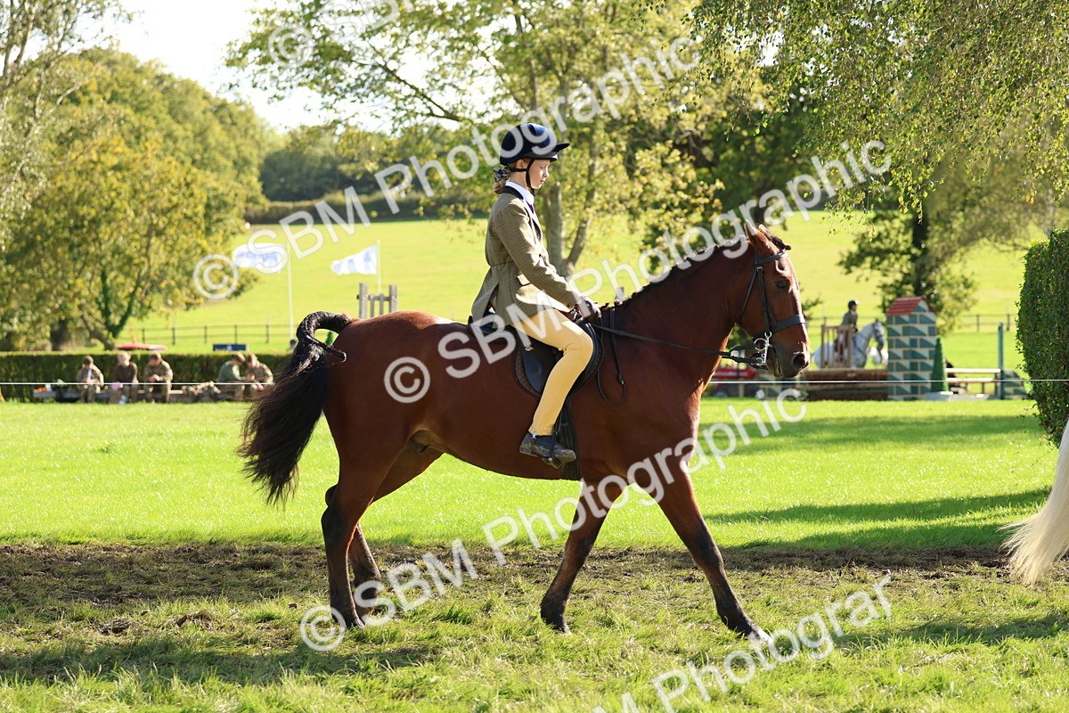 SBM_52355 - S13 - Pony Club Pony