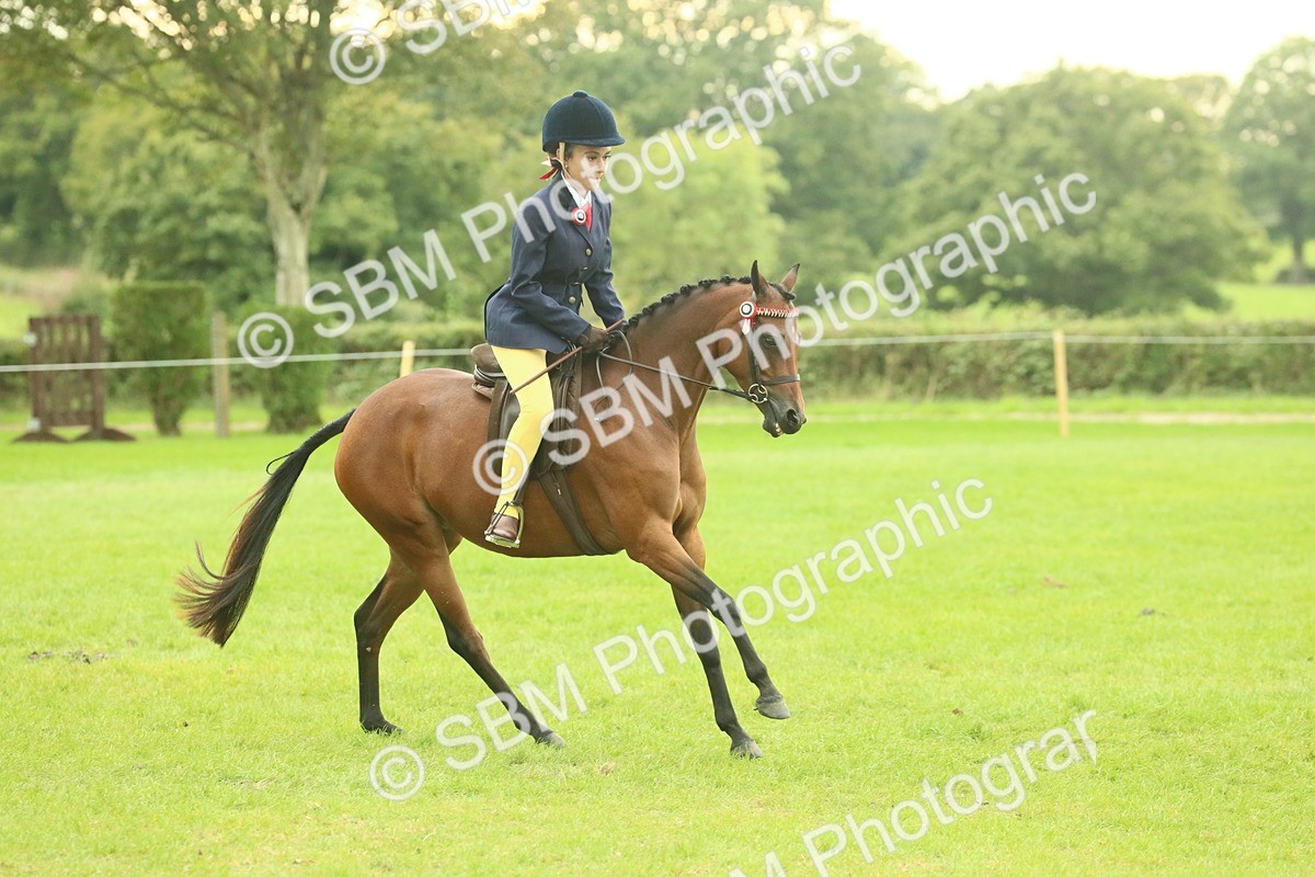 SBM_73929 - S 61 - Show Pony & Show Hunter Pony Ridden