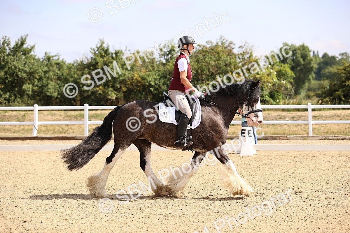 SBM_006482 - Intro 3 - 9.46-10.46