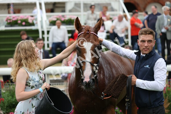 yr04092022r5-68 - Race 5 4.05pm Little Green Rascals Children's Nurseries Stakes