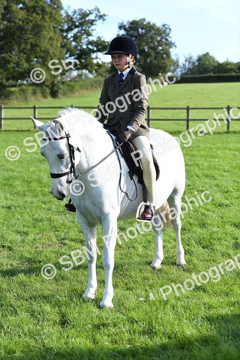 SBM_52395 - S22 - 1st Ridden Show & Show Hunter Pony