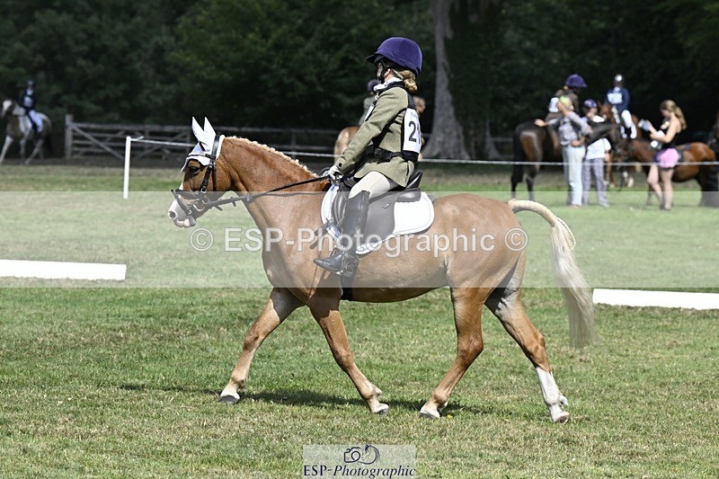 250822A-121824-22681 - DR 11.00 to 12.00