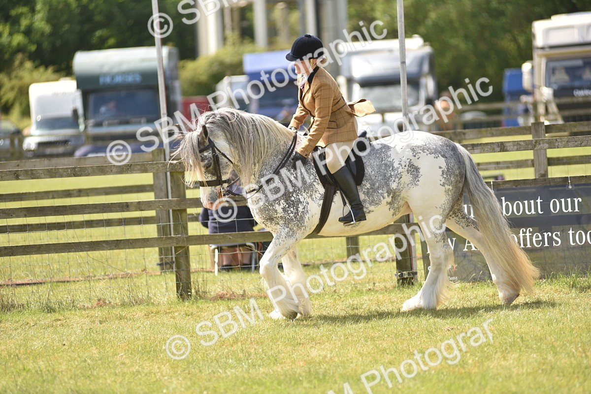 SBM_15849 - Class 115-116 - SSADL Home Produced Members Qualifier