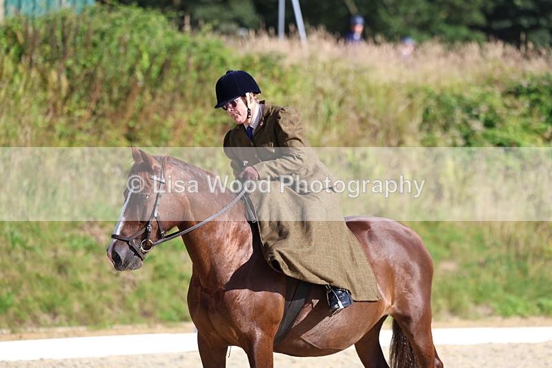 3E7A3485 - Class 2: Intro 1 2024 Section B