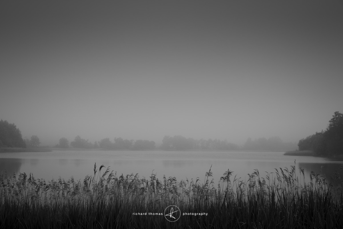 Over Reeds - Frensham