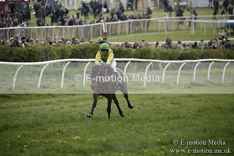 PtP 170417 352 - Old Berks Point-to-Point Lockinge 17/04/17