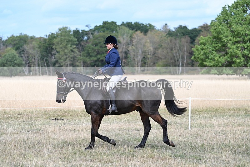 WJ7_5796 - Class 13 Ridden Veterans
