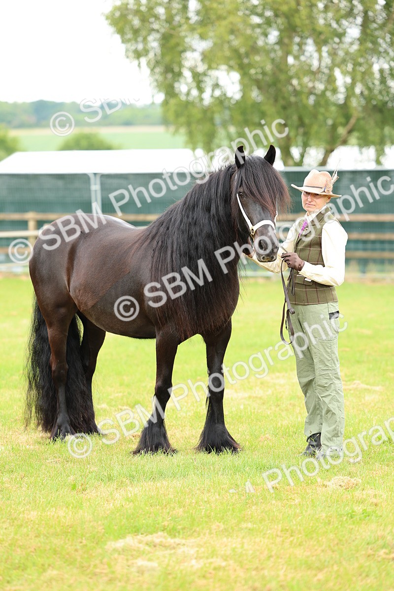 SBM_00557 - Class 58-67 - M&M Non Welsh Pony In hand
