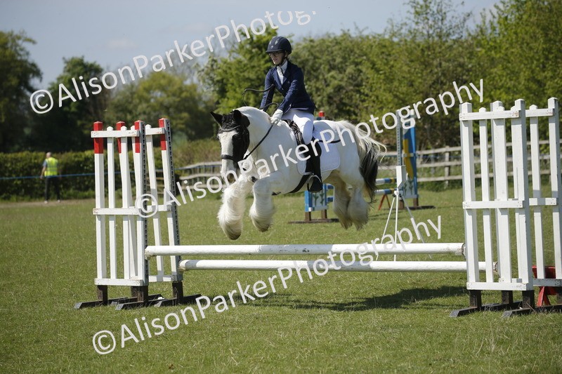20250427-2353 - Class 13 - Novice Jumping 60cm