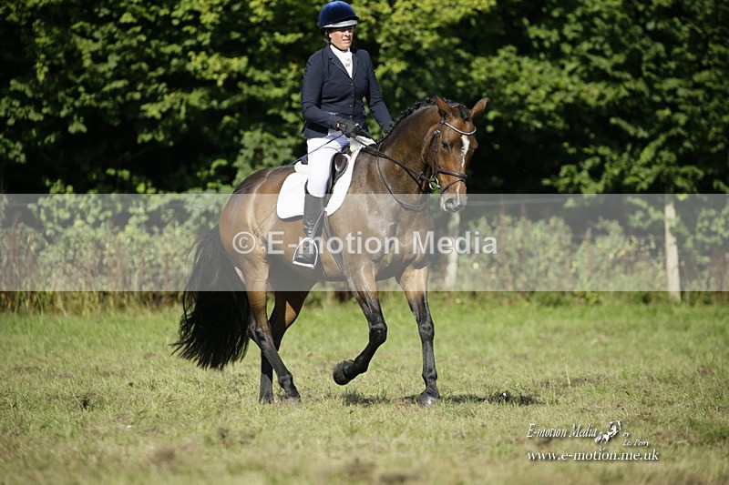 BVRC 120921 223 - Bourne Valley Riding Club UA Dressage & Show Jumping 12/09/21