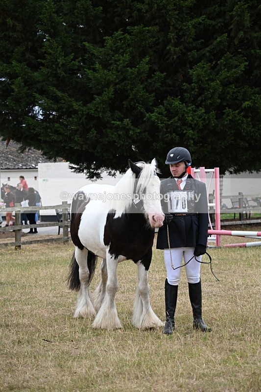 WJ6_8308 - Class 10 Coloured in Hand