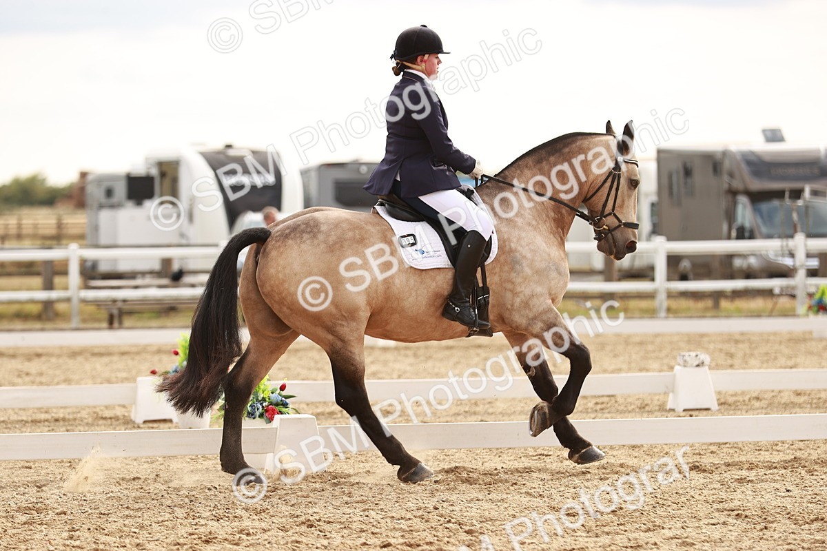 SBM_003702 - Class 5 - Elementary 5 - 15.54-1.42