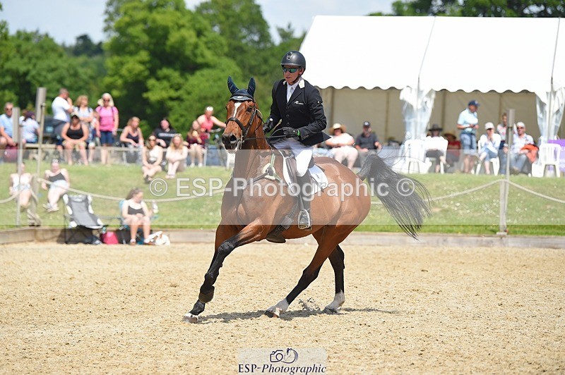 230528-121426-15599 - 312-J'ADORE_SALSA-Michael_Owen-SUNTrotUp+SJ