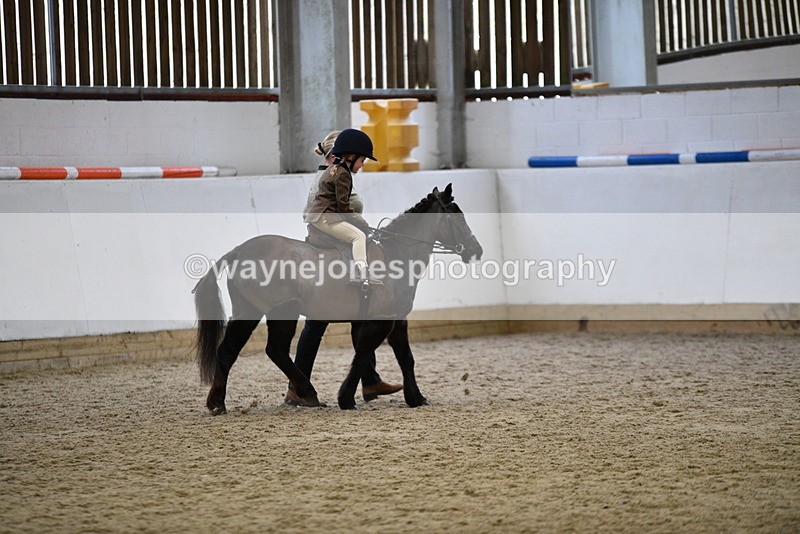 WJ5_6612 - Class 10 Childs Pony