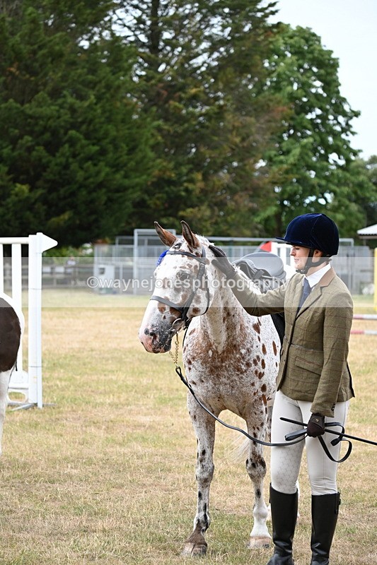 WJ6_3997 - Class 9 Tack & Turnout