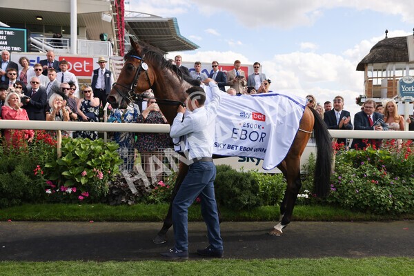 yr20082022r4-256 - Race 4 3.35pm Sky Bet Ebor