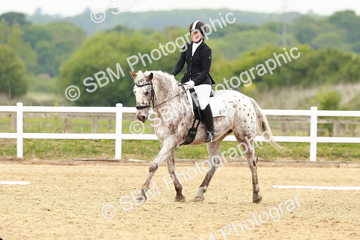 SBM_001262 - Class 7 - Novice 5