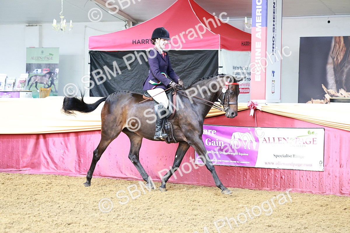SBM_12019 - Class 102 - Equitation (Best Rider) Adult