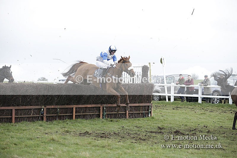PtP 150320 0590 - New Forest Point-to-Point Larkhill 15/03/20