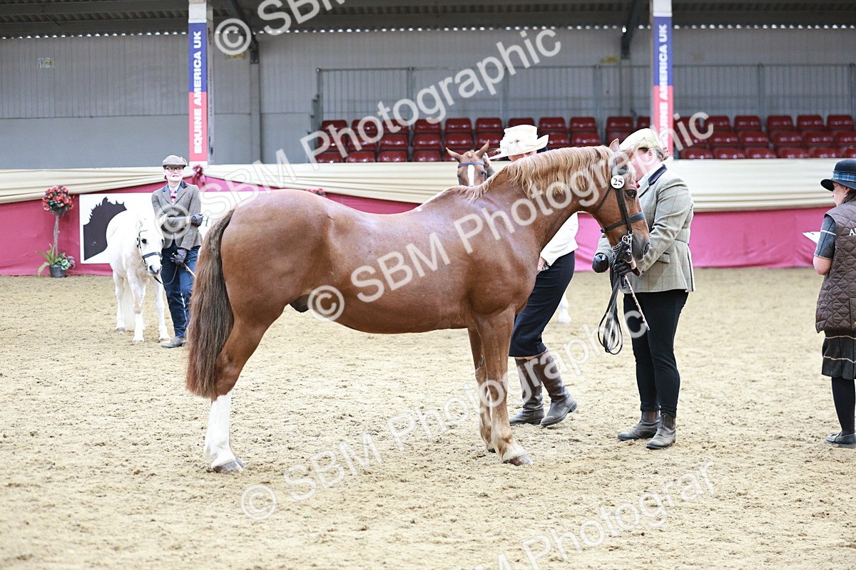 SBM_04833 - Class 7R - Regional IH Diamond