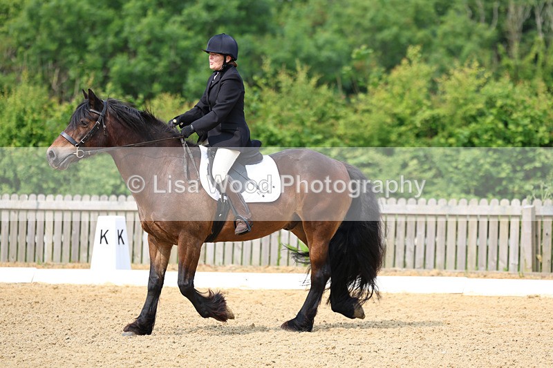 3E7A9038 - Class 1: Intro 1 2024 Section A