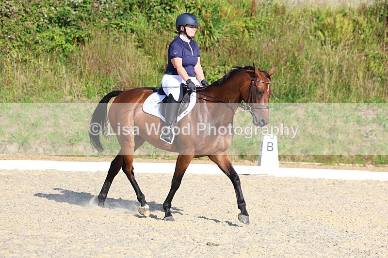 3E7A3597 - Class 2: Intro 1 2024 Section B