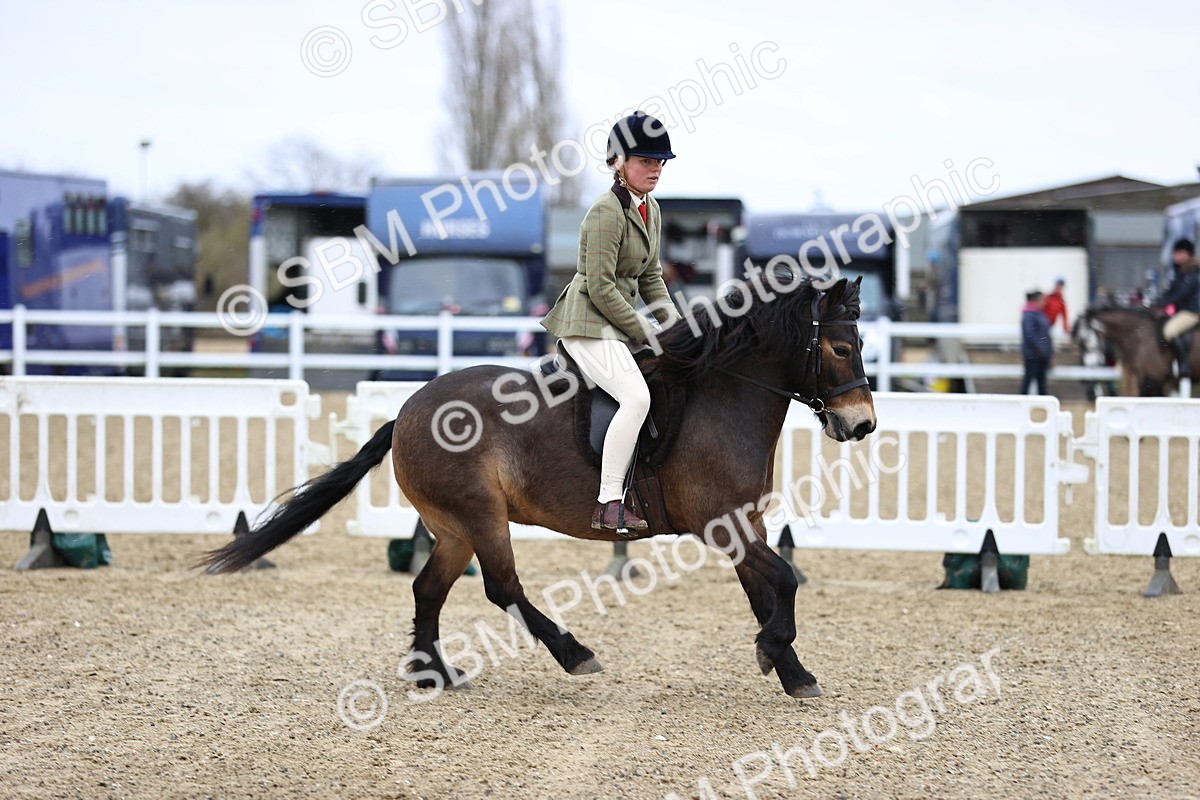 SBM_007460 - Class 31-32 - M&M Confined Novice Small-Large