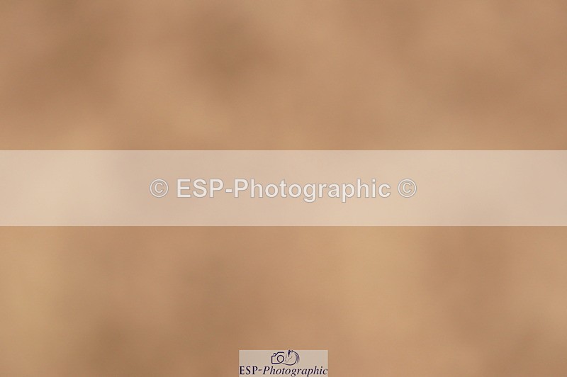 240524A-155216-04456 - Cls 19 1m Open Speed Derby