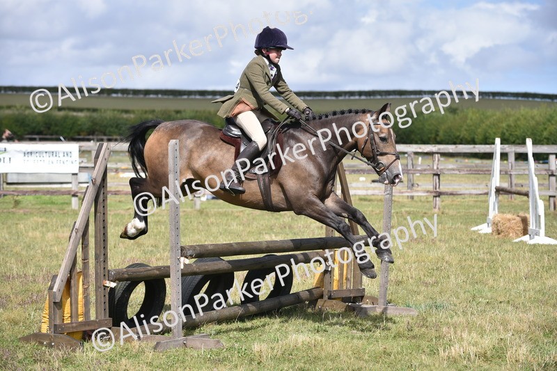 20250831-4102 - Class 13 - Working Hunter Horse or Pony