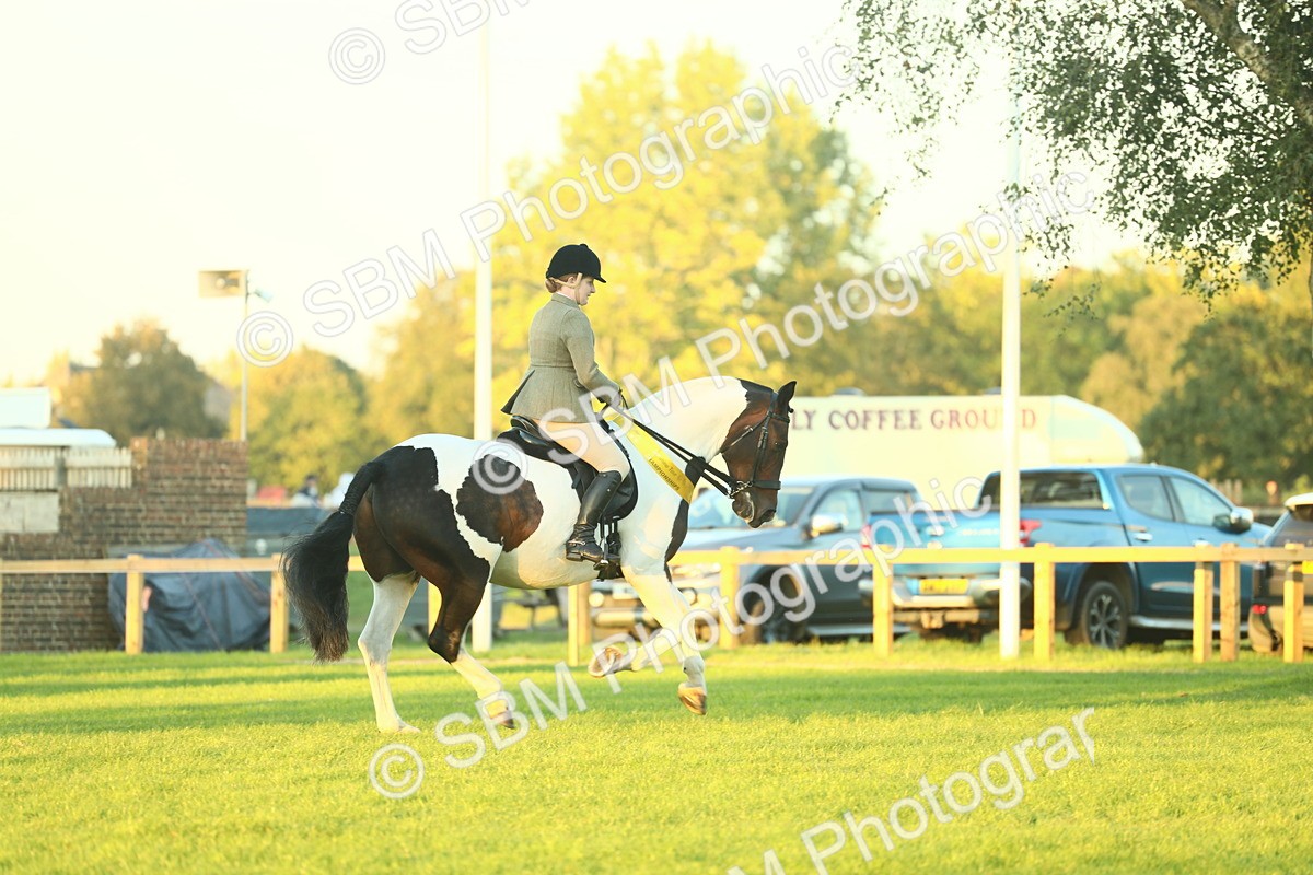 SBM_56614 - Fun & Versatile Supreme Championship
