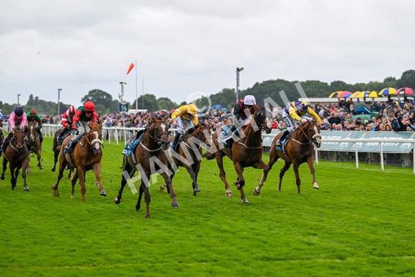 130724-Race 1-Blue For You-6944 - Race 1 2.00pm John Smith's Racing Handicap