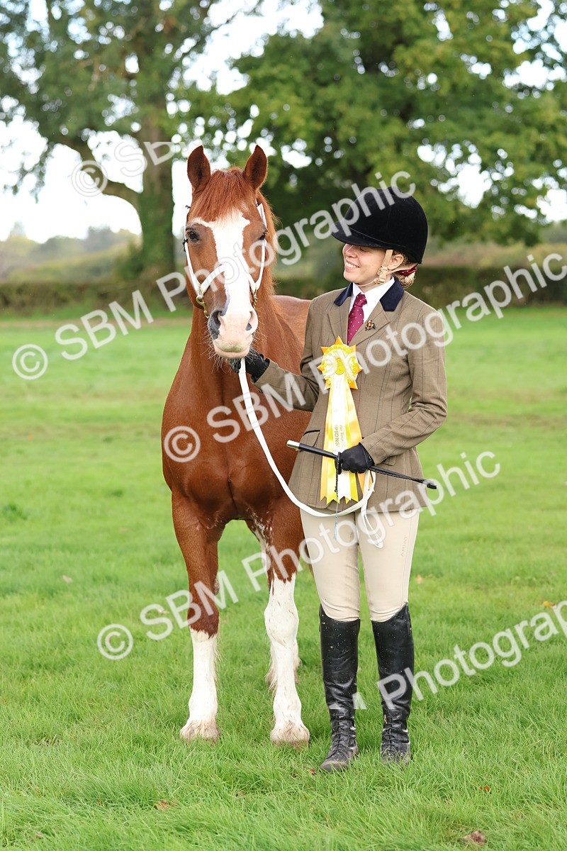 SBM_39375 - S24 - Young Veteran In Hand