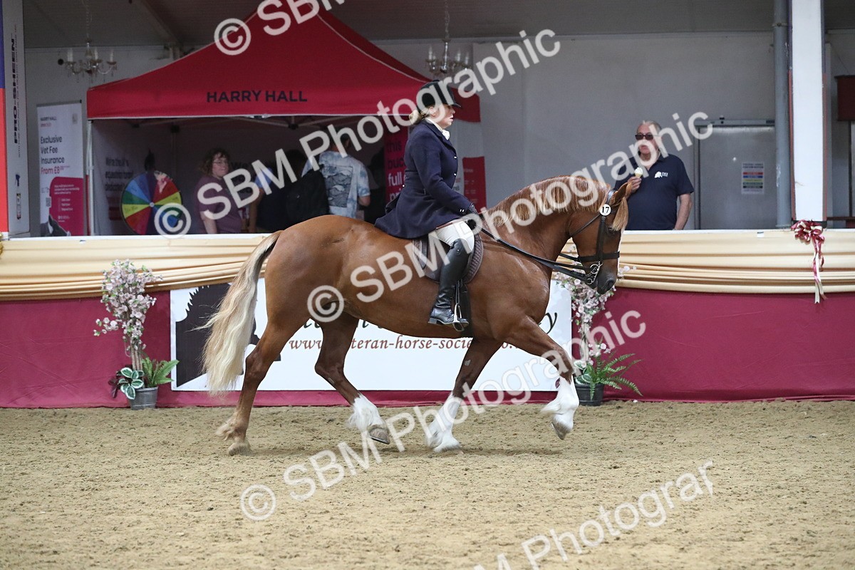 SBM_17187 - M&M Supreme Final Champ