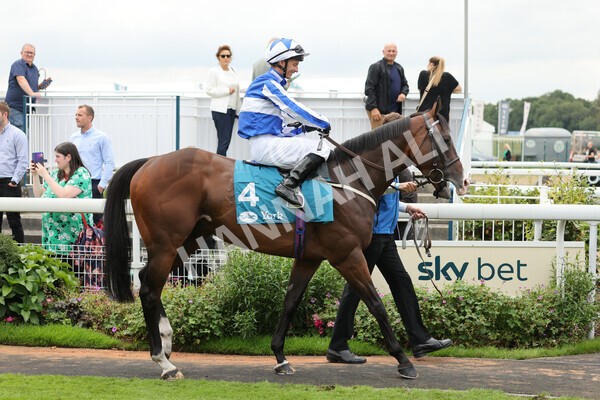 yr04092022r3-11 - Race 3 2.55pm The Elevator Company Garrowby Stakes
